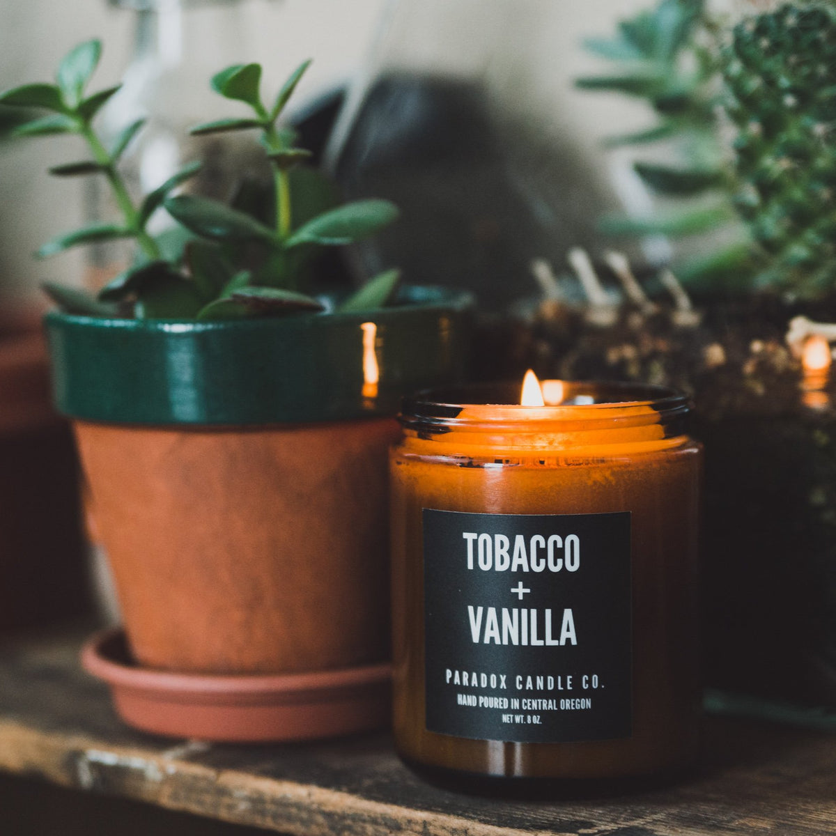 TOBACCO + VANILLA CANDLE – Paradox Candle Co