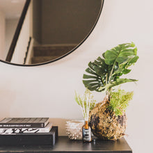Load image into Gallery viewer, SWEET SEA SALT REED DIFFUSER
