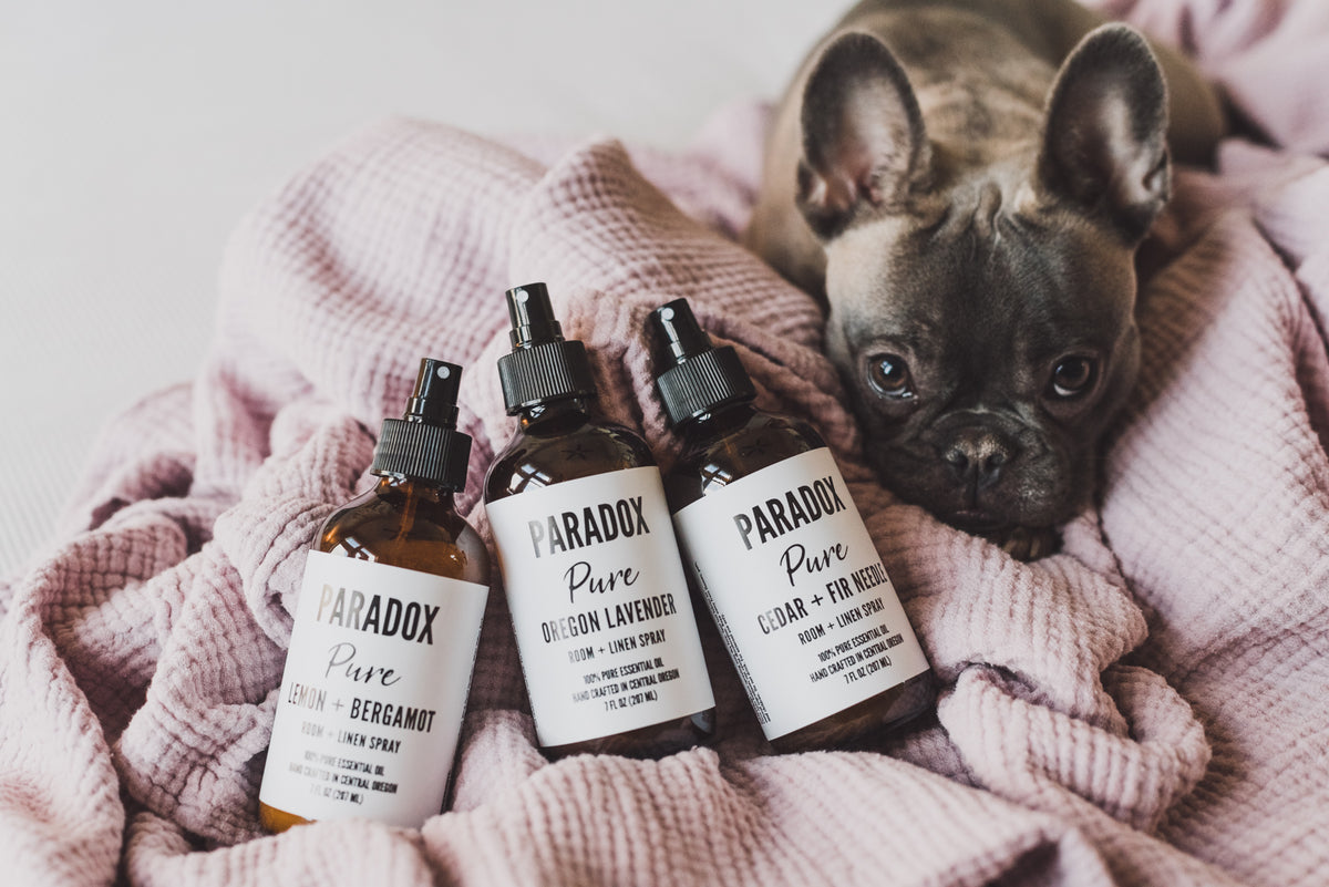Paradox Candle Co